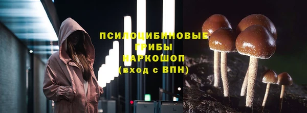 кокс Богородицк