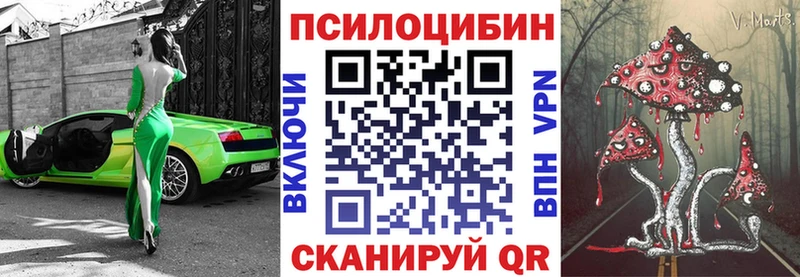 Галлюциногенные грибы Psilocybe  Купить закладки  Вятские Поляны 